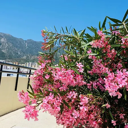 On The First Line Of The Sea With A View And Free Parking 公寓